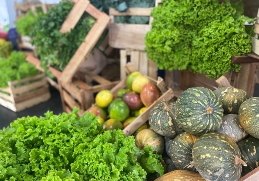 CRAS - Santo Ant�nio | 