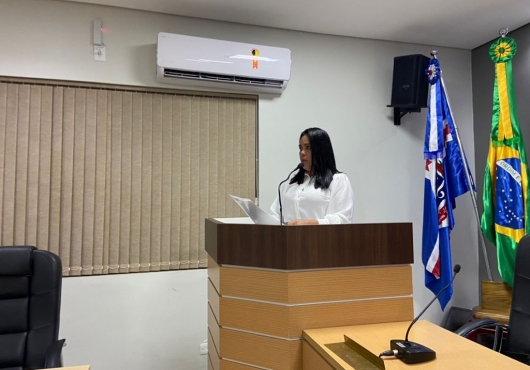 C�mara Municipal de Vereadores | 