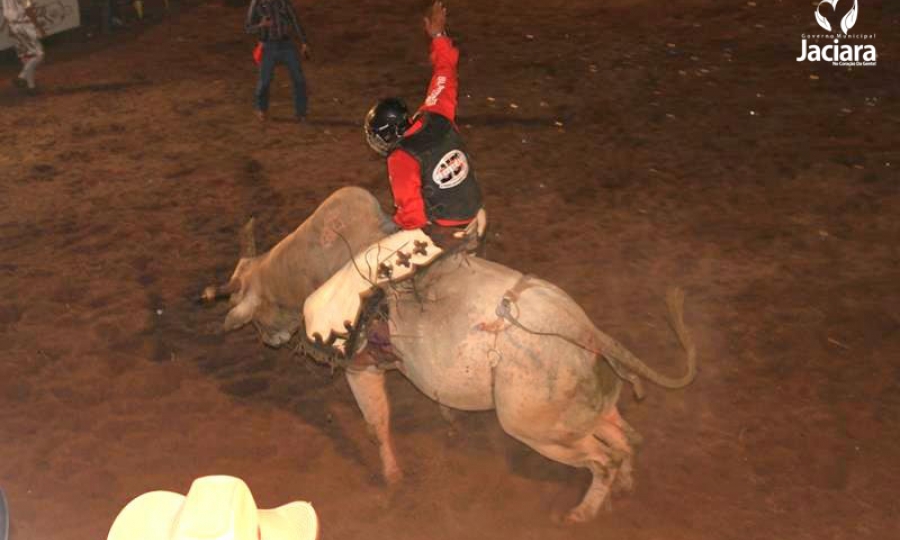 15� Festa do Pe�o