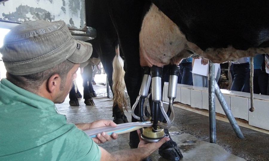 Prefeitura promove Dia de Campo e incentiva produ��o do leite