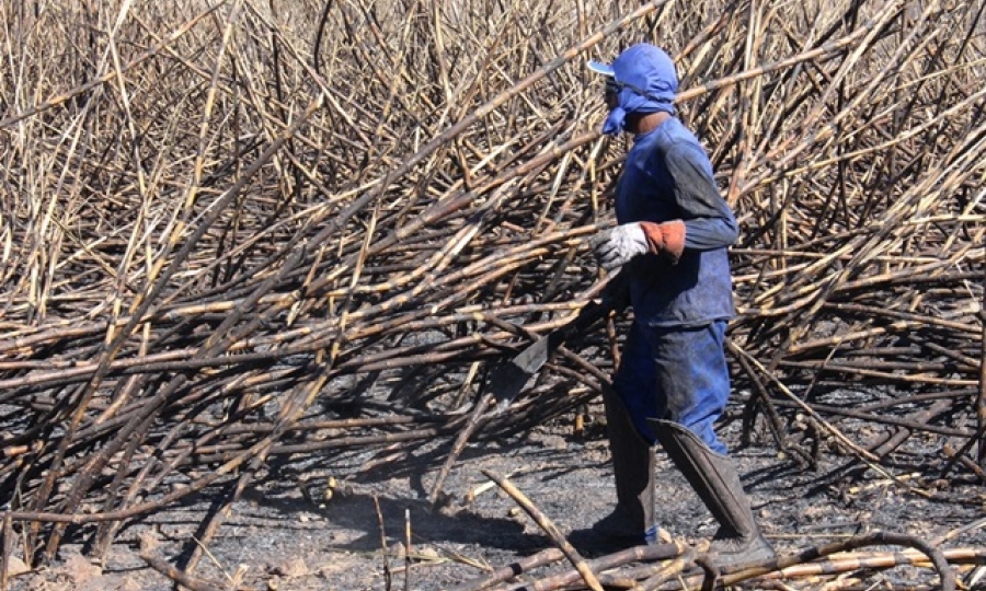 Usina Pantanal volta a moer em Jaciara