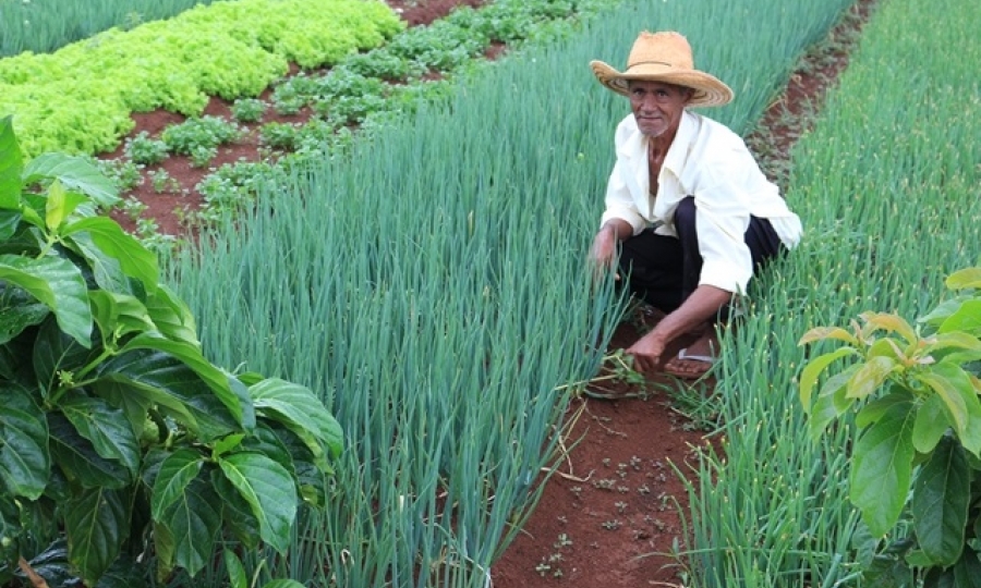 A��es beneficiam Agricultura Familiar