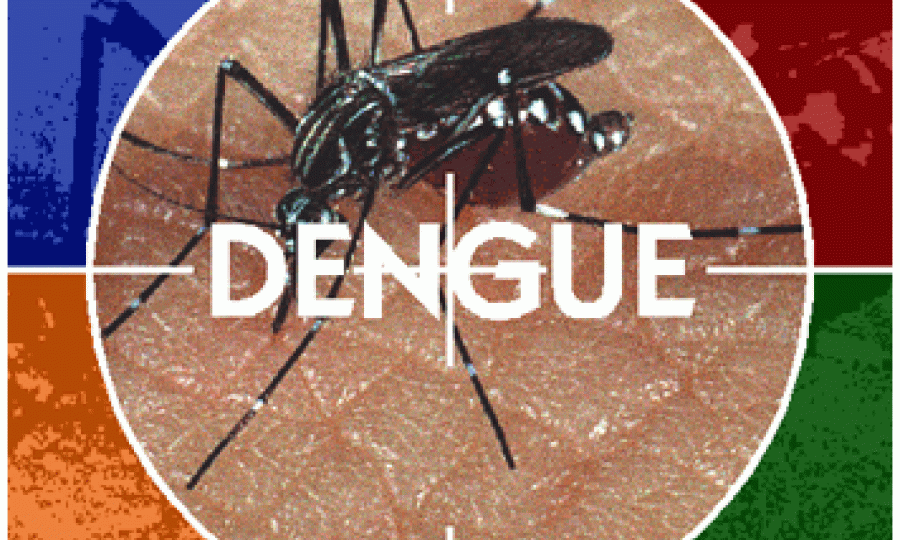 Escola Ara�jo Barreto recebe palestra para conscientiza��o da dengue