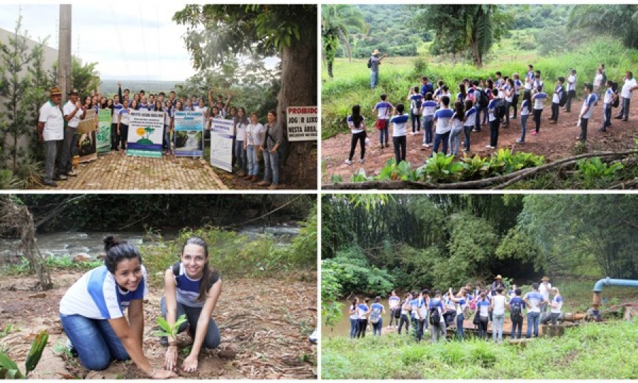 Alunos do Col�gio Dom Bosco plantam �rvores nativas