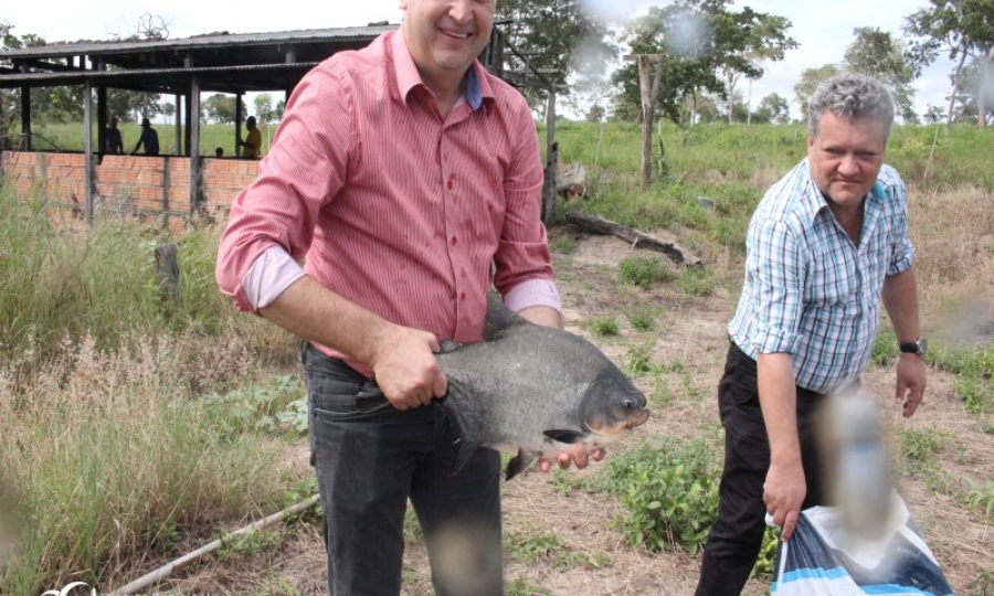 Piscicultura em Jaciara fortalece a agricultura familiar na regi�o.