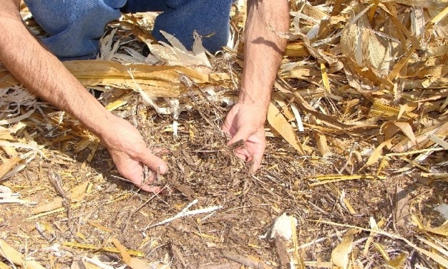 Secretaria Municipal recebe doa��o de 50 toneladas de res�duo de milho