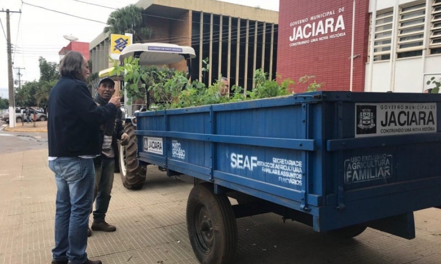 Prefeitura realiza distribui��o de mudas de �rvores no Dia Mundial do Meio Ambiente