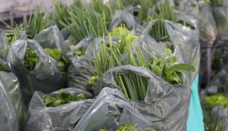 Social entrega verduras do Programa de Aquisição de Alimentos