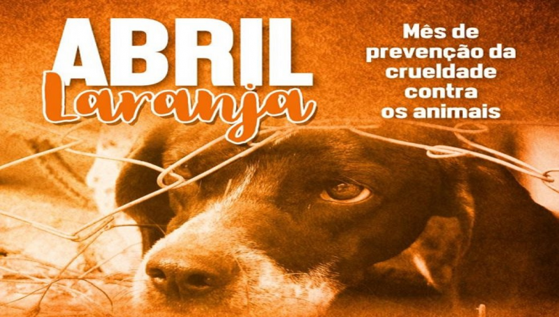 Mês de conscientização contra os maus tratos aos animais | Prefeitura ...